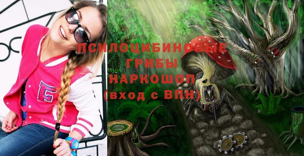 прущие грибы Михайловск
