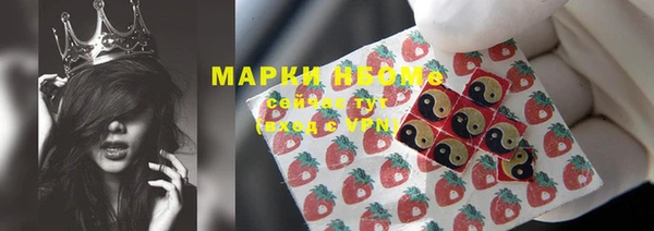 прущие грибы Михайловск