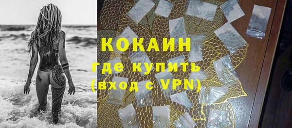 прущие грибы Михайловск