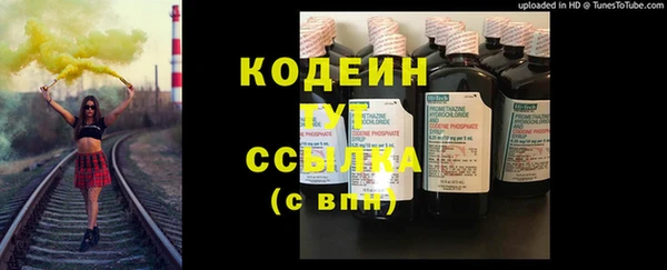 прущие грибы Михайловск