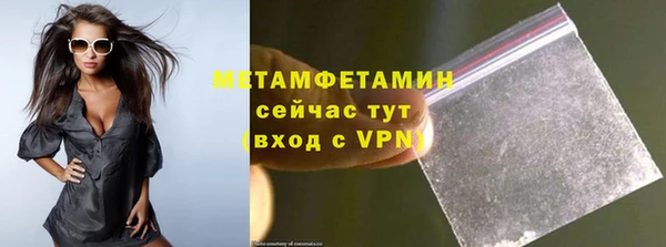 прущие грибы Михайловск
