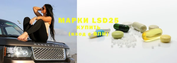 прущие грибы Михайловск