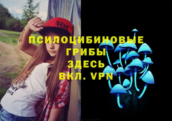 прущие грибы Михайловск