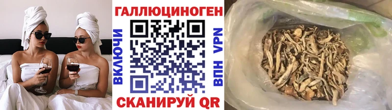 Галлюциногенные грибы Psilocybine cubensis  закладка  Нерехта 